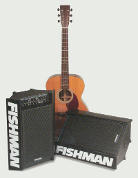 Fishman Acoustic Performer Pro and Monitor